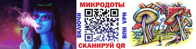 Псилоцибиновые грибы Cubensis  что такое   Кремёнки 